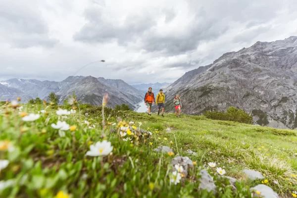 Escursionisti su un sentiero di montagna fiorito con montagne imponenti sullo sfondo.