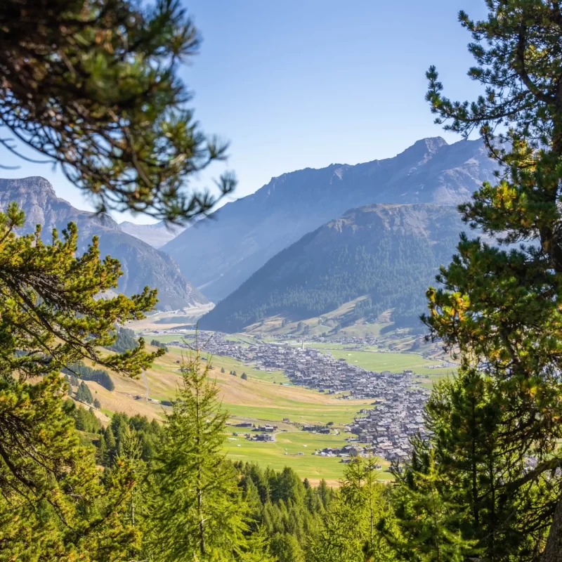 Blick durch Bäume auf ein Tal mit einer Stadt, umgeben von Bergen.