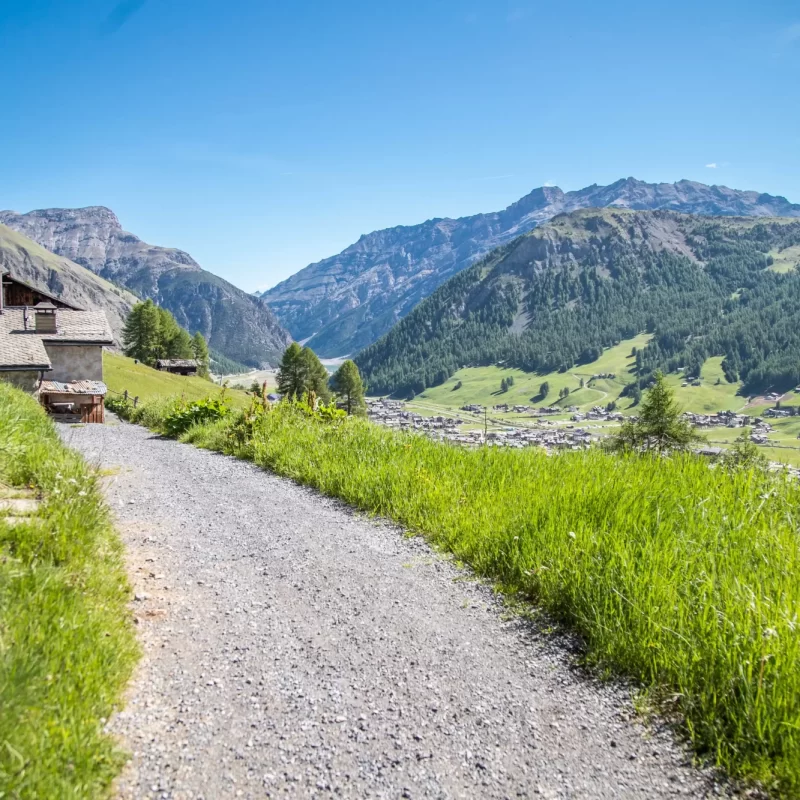 Ein malerischer Wanderweg führt durch eine grüne Berglandschaft mit Blick auf ein Dorf im Tal.