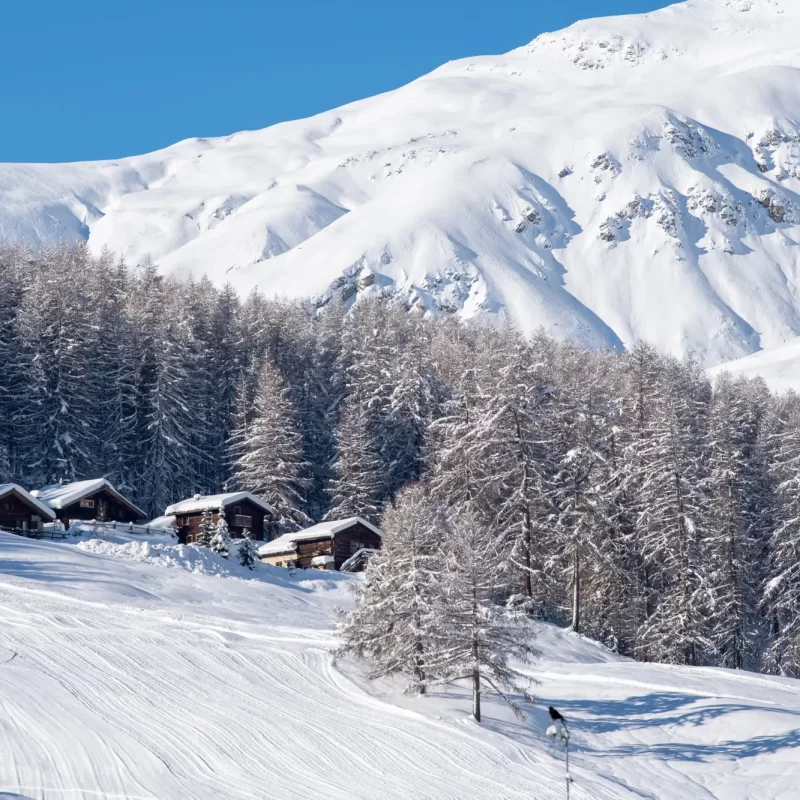 Verschneite Holzhütten vor schneebedecktem Berg und winterlichem Wald.